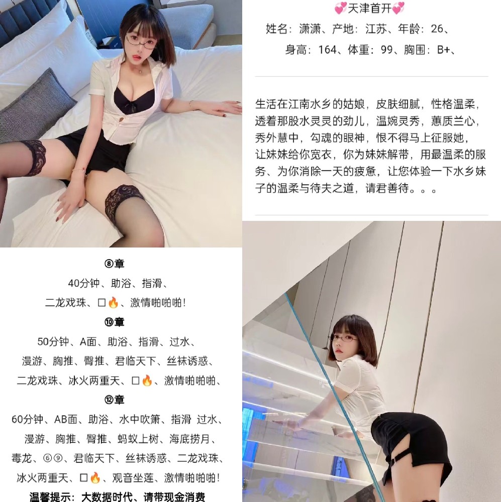 河西七贤南里 8 起 狗